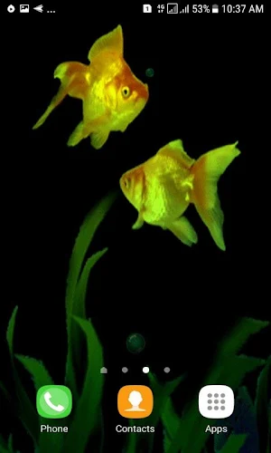 Golden Fishes Live Wallpaper Screenshot 2