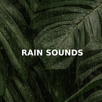 Rain Sounds For Sleep