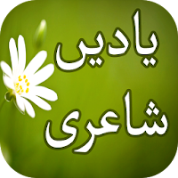 Yaadein Shayari
