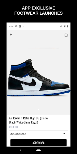 Patta Screenshot 2