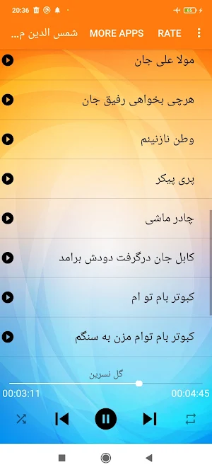 Shamsuddin Masroor Screenshot 2