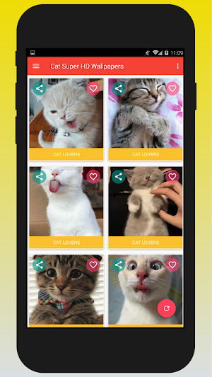 Cat Super HD Wallpaper Screenshot 1