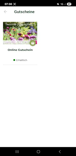 Familiengärtnerei Woelk Screenshot 2