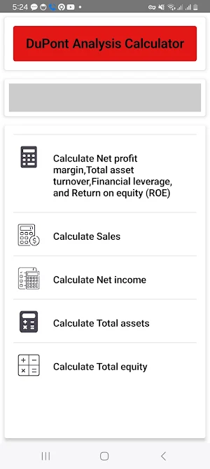 DuPont Analysis Calculator Screenshot 1