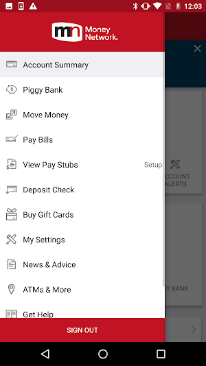 Money Network® Mobile App Screenshot 1