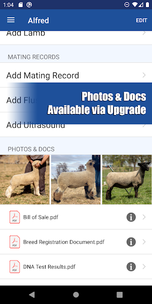 HerdBoss Screenshot 2
