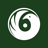 Taarih