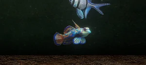 Appquarium - Living Aquarium Screenshot 1