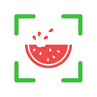 NutriPic: Calories by Photo