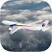 3D Airplane Flight Sim