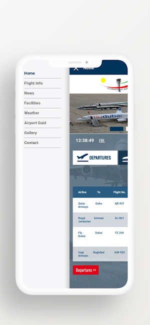 Sul. International Airport Screenshot 2
