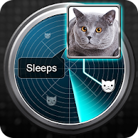 Radar What Makes Cat Joke