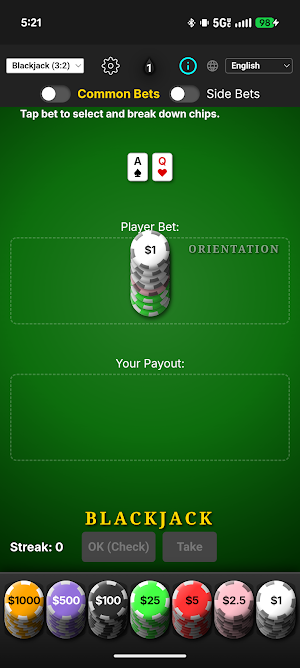 Blackjack & Baccarat Trainer Screenshot 0