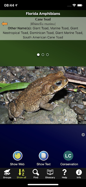 Florida Amphibians Screenshot 0