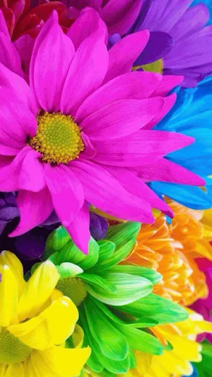 fondos de flores bonitas Screenshot 3