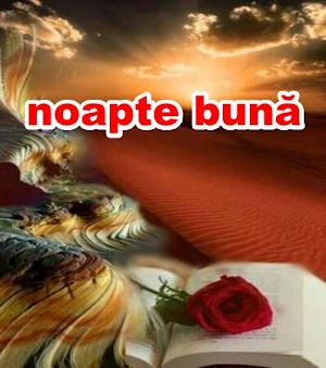 imagini de noapte buna Screenshot 0