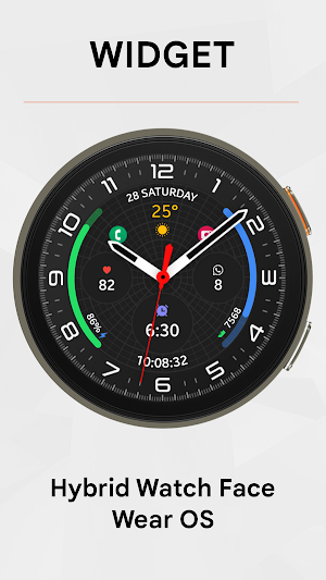 IV Hybrid Watch Face Screenshot 1