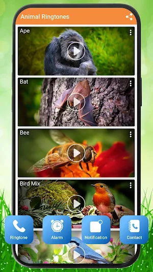 Animals Ringtones Screenshot 3