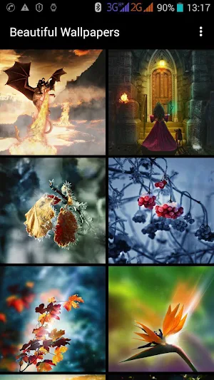 Beautiful Wallpapers Screenshot 0