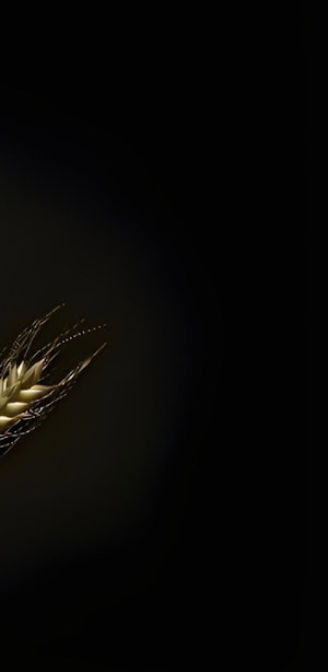 PUB Casino Screenshot 3