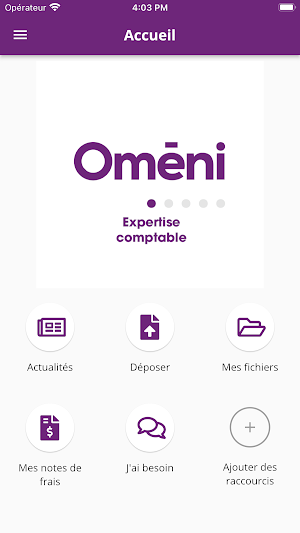 Oméni Expertise Comptable Screenshot 1