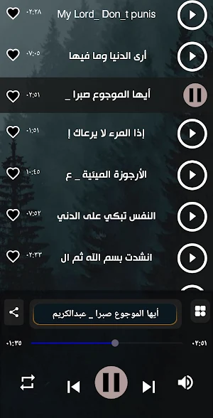 اناشيد عبدالكريم مهيوب بدون نت Screenshot 3