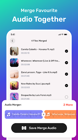 Video to Mp3 Converter Screenshot 3