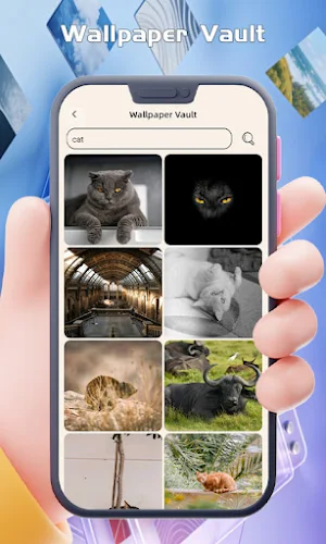 Wallpaper Vault Screenshot 0
