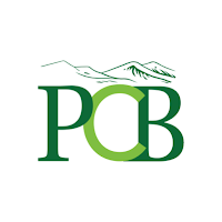 PCB Digital