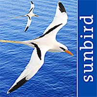 All Birds West Indies: Puerto 