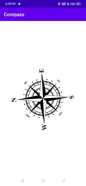 Compass Screenshot 2