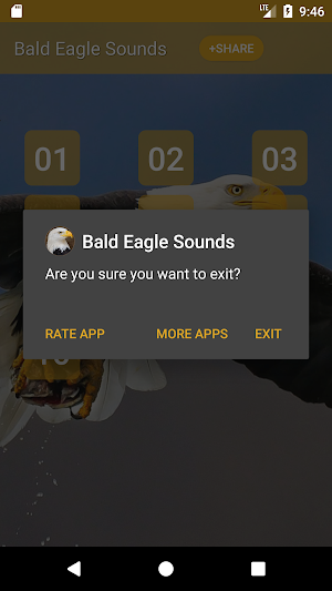 Bald Eagle Sounds Screenshot 3
