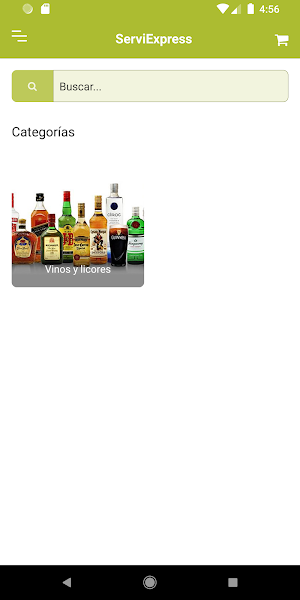 ServiExpress Screenshot 2