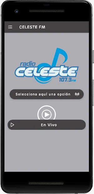 Radio Celeste FM Screenshot 1