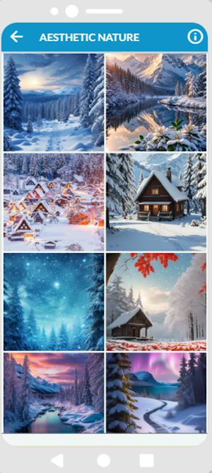 Aesthetic Winter Wallpapers Screenshot 2