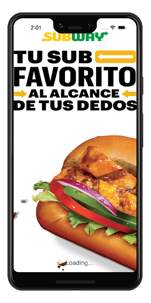 Subway® Mexico Screenshot 0