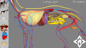 3D Dog Explorer Screenshot 1