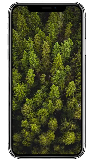 Green Aesthetic Wallpapers HD screenshot 5