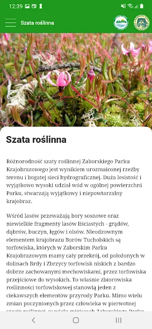 Zaborski Park Krajobrazowy Screenshot 2
