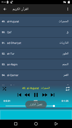 سعود الشريم قرآن كامل (صوت ممتاز) وتصفح بدون نت Screenshot 3