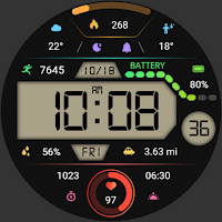 Retro Screen ZKin Watch