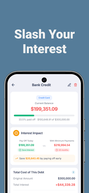 TinyDebt: Debt Payoff Tracker Screenshot 3