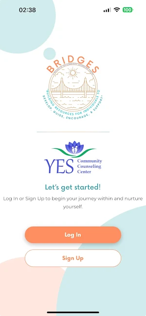 BRIDGES YES Screenshot 0
