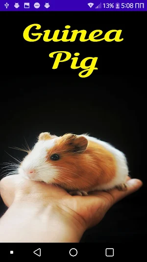 Guinea Pig - モルモット Screenshot 0