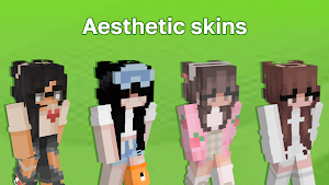 Aesthetic Skins Screenshot 0