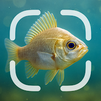 Fish Identifier