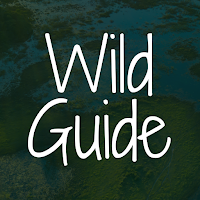 WildGuide: Pantanal Wildlife