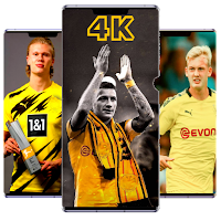 borussia dortmund wallpaper