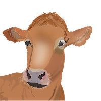 My Cattle Manager - Farm app