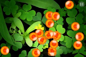 Salmon Roe Screenshot 3